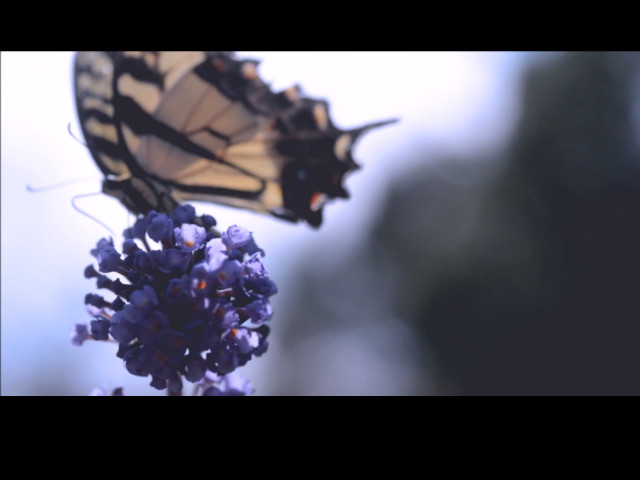 slide4