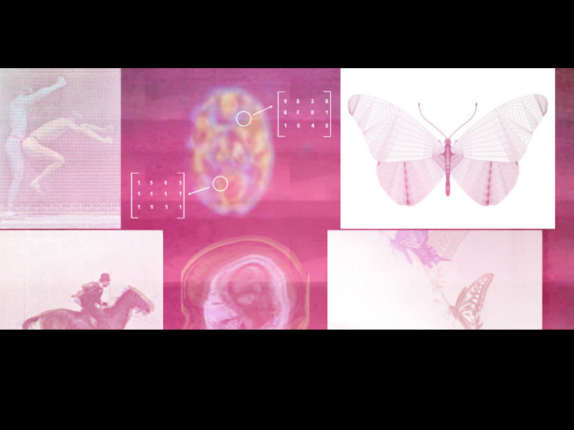 slide3